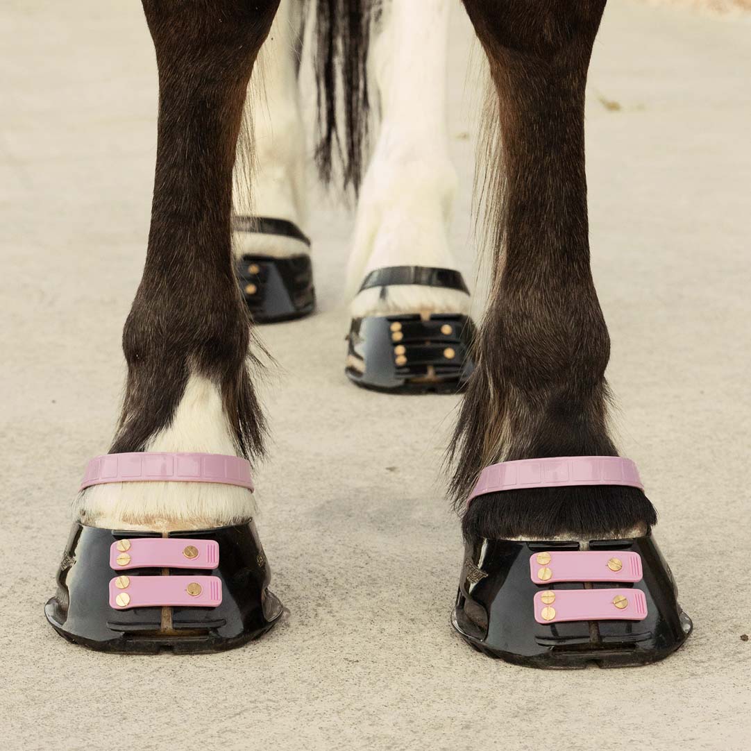 Pastern Straps