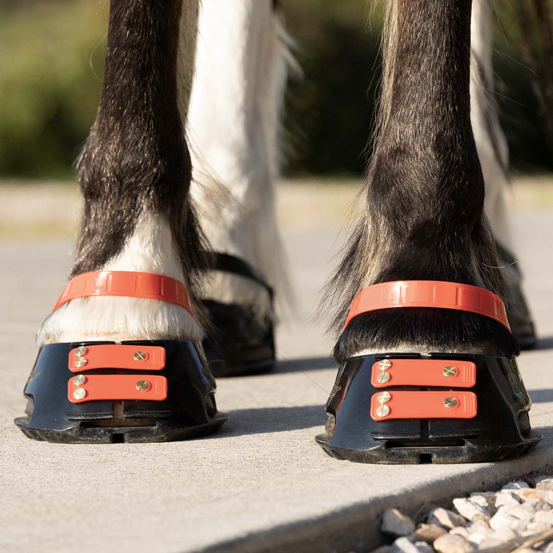 Pastern Straps