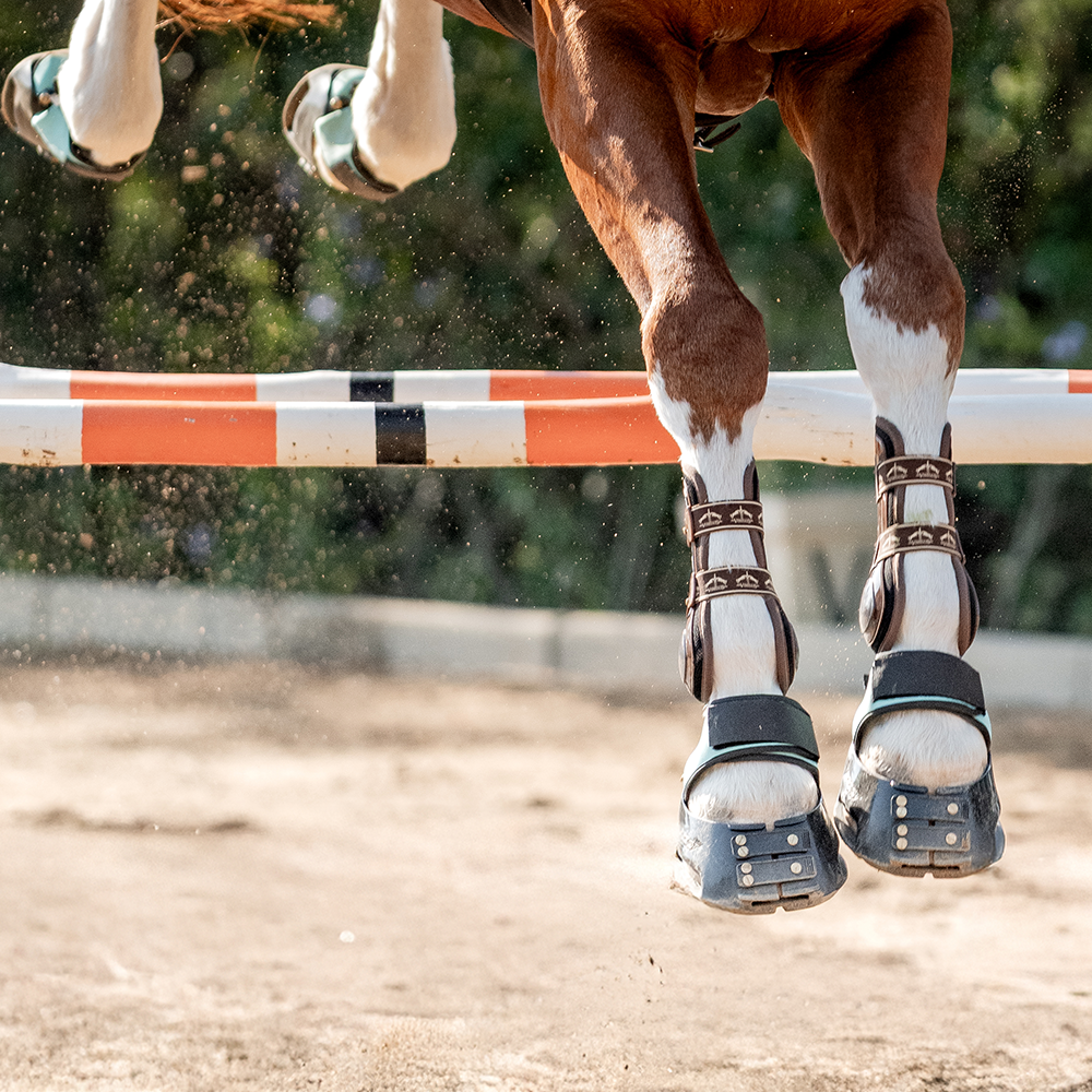 MultiPurpose Gaiters