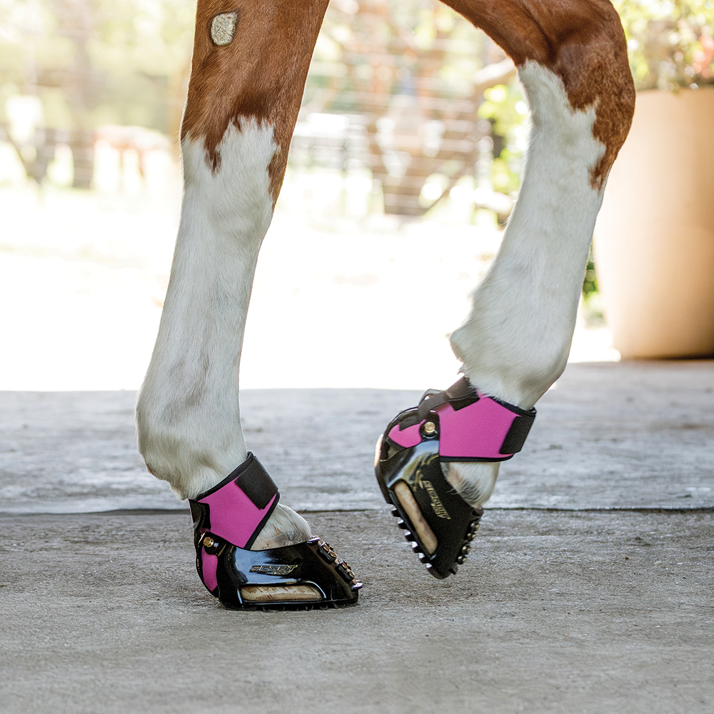 MultiPurpose Gaiters