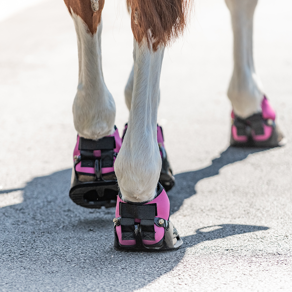 MultiPurpose Gaiters