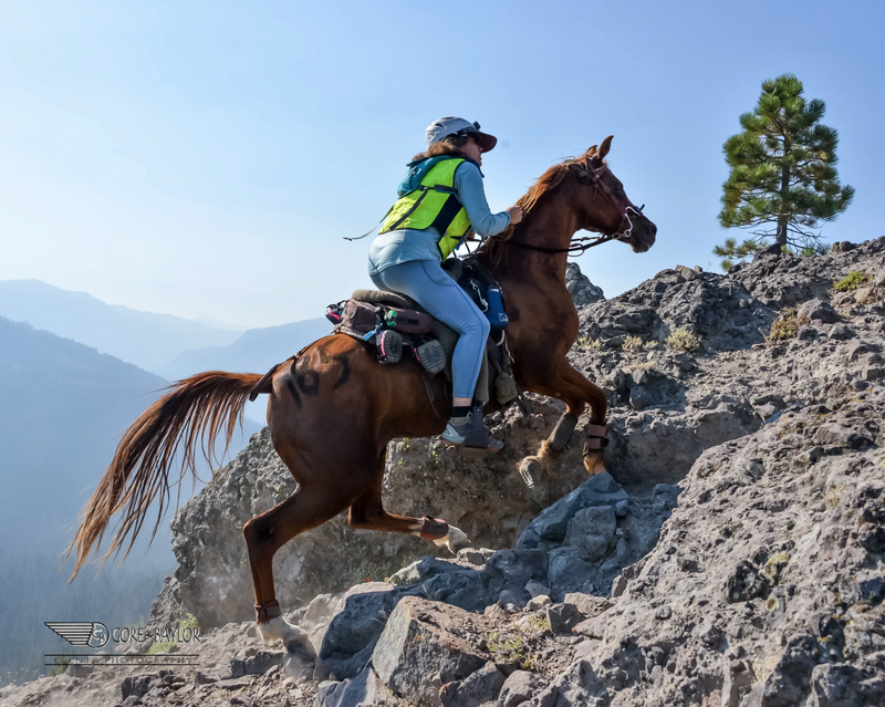 Endurance Riding