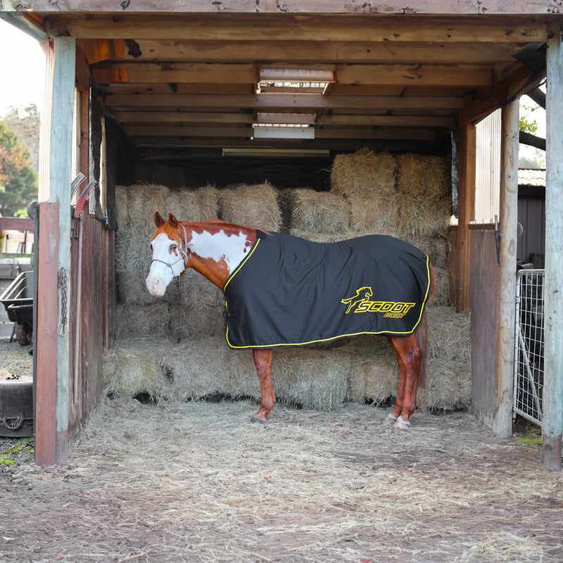 Scoot Horse Rugs