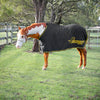 5'6 / 168cm (fits 14.0 - 14.2 hh)