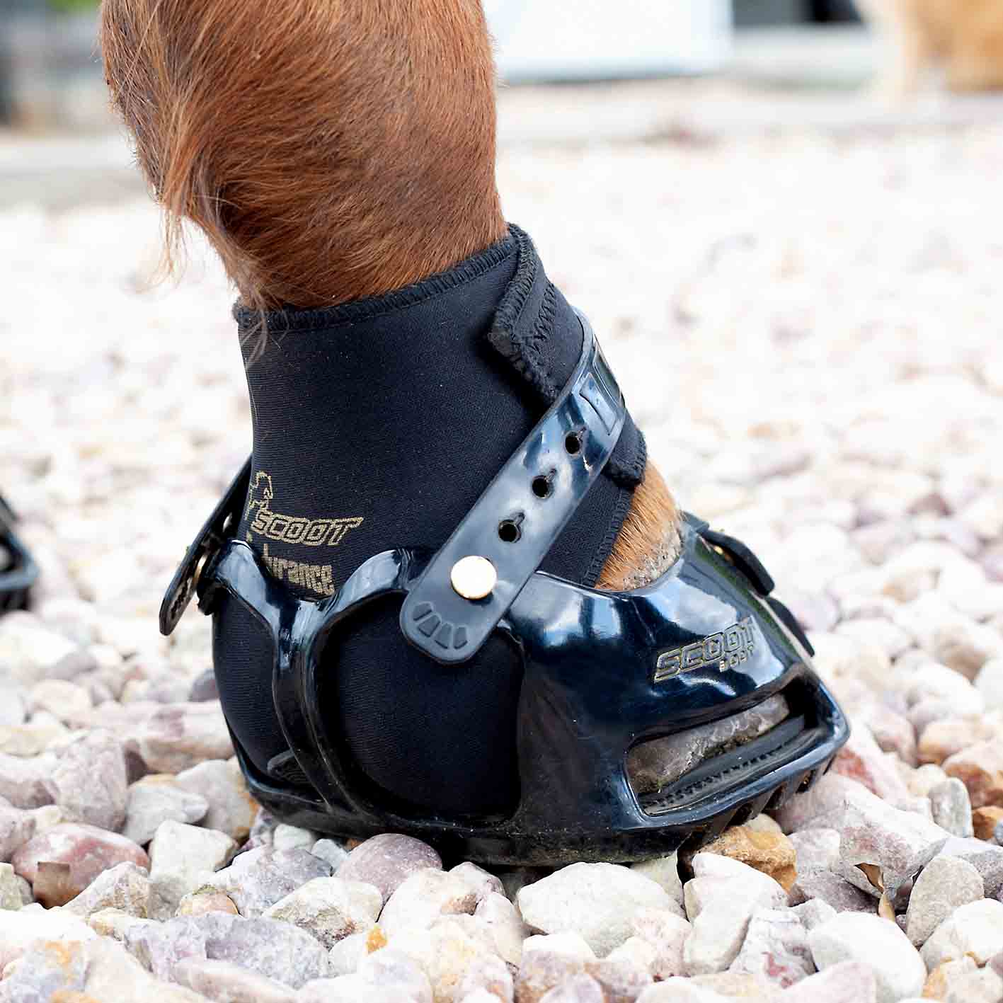 Scoot Boot endurance gaiter on horse