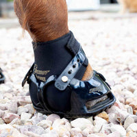 Scoot Boot endurance gaiter on horse