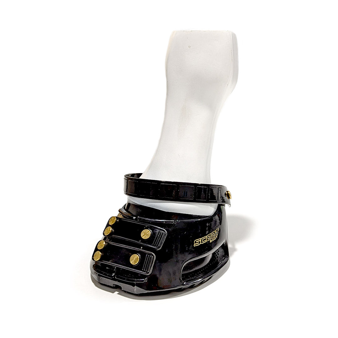 Hoof Model
