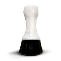 Hoof Model