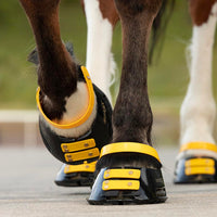 Pastern Straps