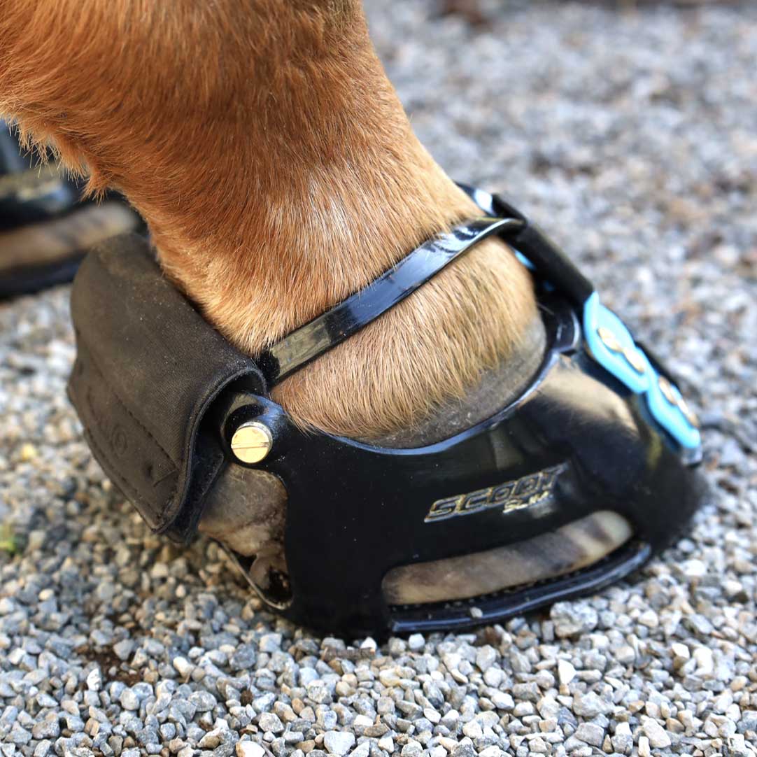 Trail Gaiters